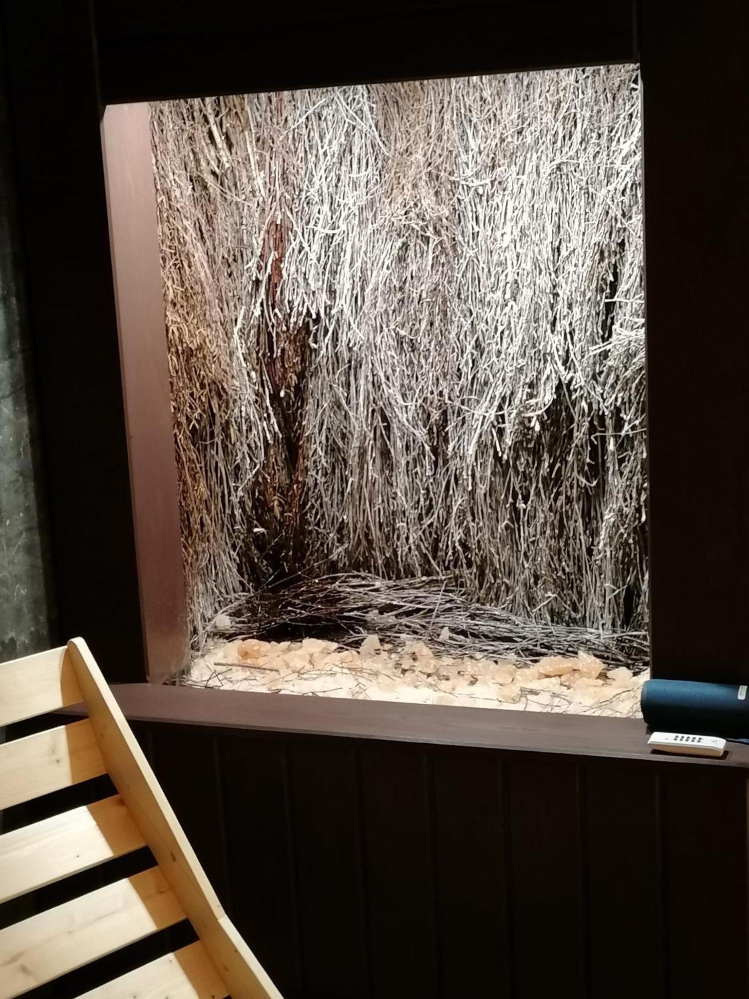 Luna Apartzakop Leilighet